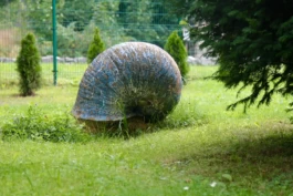 Sergey Kolosov's photo