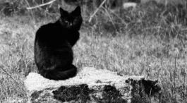 Sergey Kolosov's photo