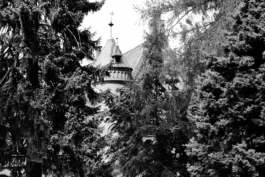 Sergey Kolosov's photo