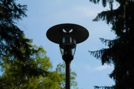 Sergey Kolosov's photo
